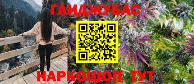 стаф Будённовск