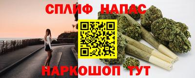 стаф Будённовск